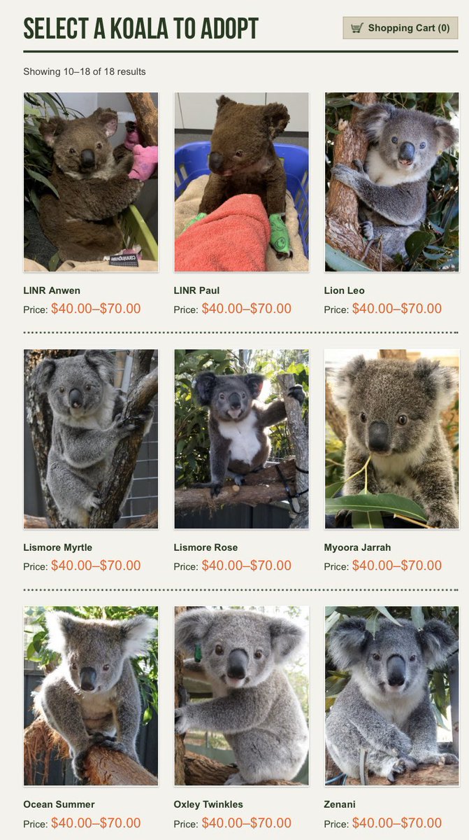 biedrowski 🐾 tweet media