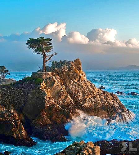 "The quality of your thinking determines the quality 
of your life".     ✍🏼 Liam Neeson

The Lone Cypress
Article from Flickr