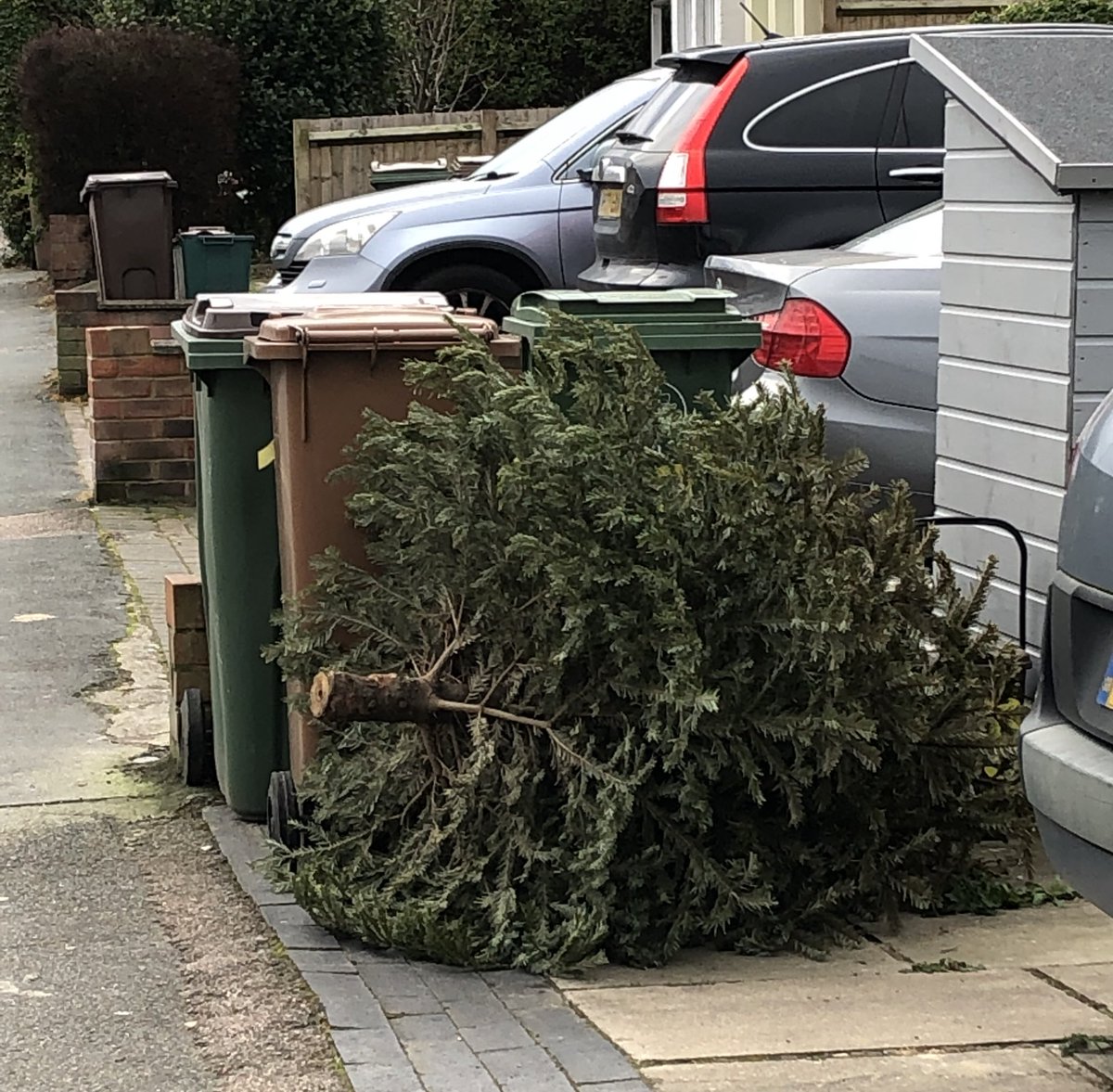 's tweet image. And so the neighbourhood becomes filled with remorse and uncertainty - the overindulgence and smugness all through December is replaced by a hollow fear. They didn't stop when the fun did #XmasExcess