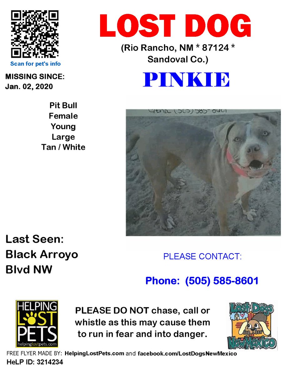 🛑🛑 #LOSTDOG #Pinkie #RioRancho (Black Arroyo Blvd NW) #NM 87124 #Sandoval Co. , #Lost #Dog 01-02-2020!, Large / Young / Female / #PitBull / Tan / White / White around nose and goes up between eyes. White chest and tips of paws are white as well. Big floppy ears.