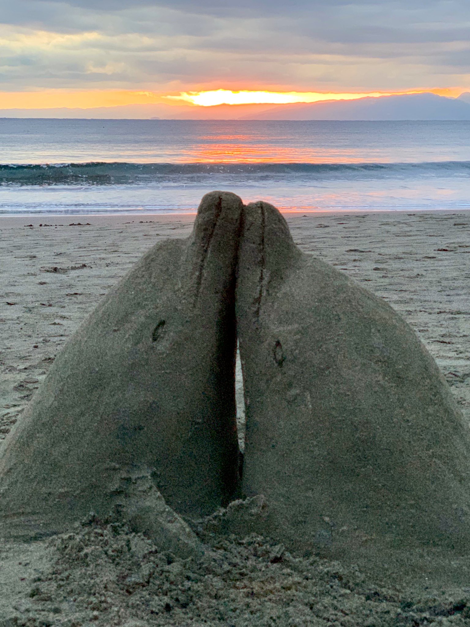 イルカル 中国公園用の新しいモデル鈍鼻イルカ古代イルカ モデルの