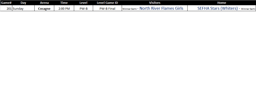 Teams going forward to the peewee B final: