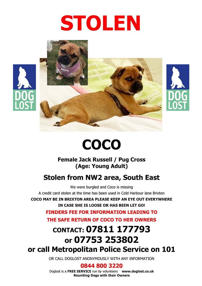 gelert01's tweet image. 🔥#Gladstone #Park #London #NW2🔥27/11/2019

#FindCoco #STOLEN during burglary Credit Card nicked same time used in #Cold #HarbourLane #Brixton

Plis keep👀eyes👀peeled 4 #FindCoco
@MarchPaw @PawsOutandAbout @aniaid999 @SallysHelpPaws @PAWSIreland @FriendlyPawsPe1 @MollysHalo