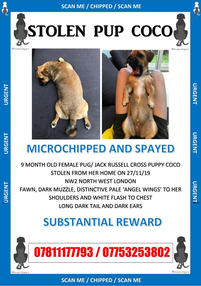 gelert01's tweet image. 🔥#Gladstone #Park #London #NW2🔥27/11/2019

#FindCoco #STOLEN during burglary Credit Card nicked same time used in #Cold #HarbourLane #Brixton

Plis keep👀eyes👀peeled 4 #FindCoco
@MarchPaw @PawsOutandAbout @aniaid999 @SallysHelpPaws @PAWSIreland @FriendlyPawsPe1 @MollysHalo