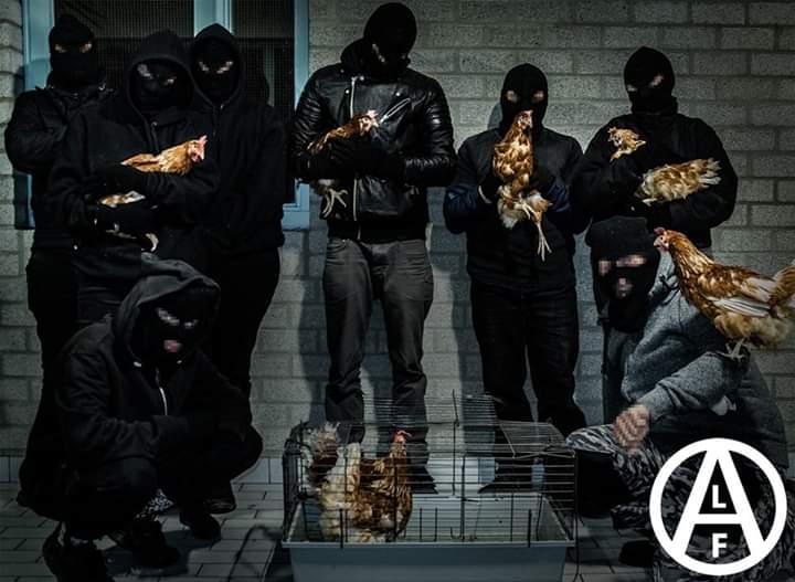 Frente de Liberación Animal on Twitter: Frente de Liberación Animal on Twitter:
