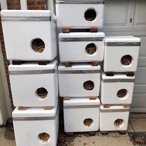 Project MEOW tweet media