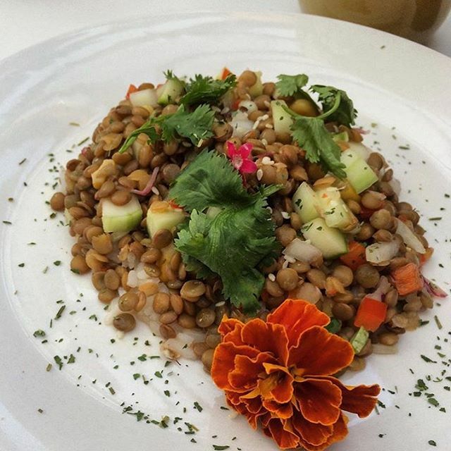 WaykaVE's tweet photo. #Repost @patriciasborges 
CEVICHE DE LENTEJAS

Esta deliciosa preparación es muy nutritiva, si la acompañas de algún cereal como arroz o quinoa funcionará perfectamente como un Plato principal, dándote el aporte de proteínas y vitaminas que requieres en … https://t.co/GIq8NoyFN9 https://t.co/BVuHd07Q03