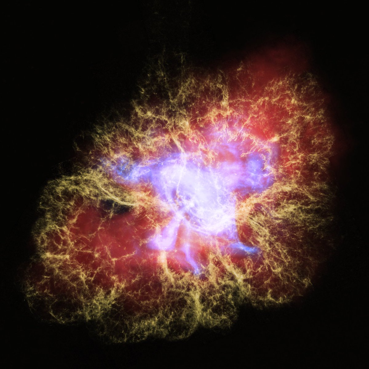 Astronomers and visualization specialists from NASA have combined the visible, infrared, and X-ray vision of NASA's Great Observatories to create a three-dimensional visual of the dynamic Crab Nebula, the tattered remains of an exploded star. #aas235 credit:NASA