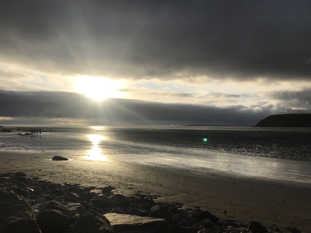 Sarah-Louise Tyler tweet media