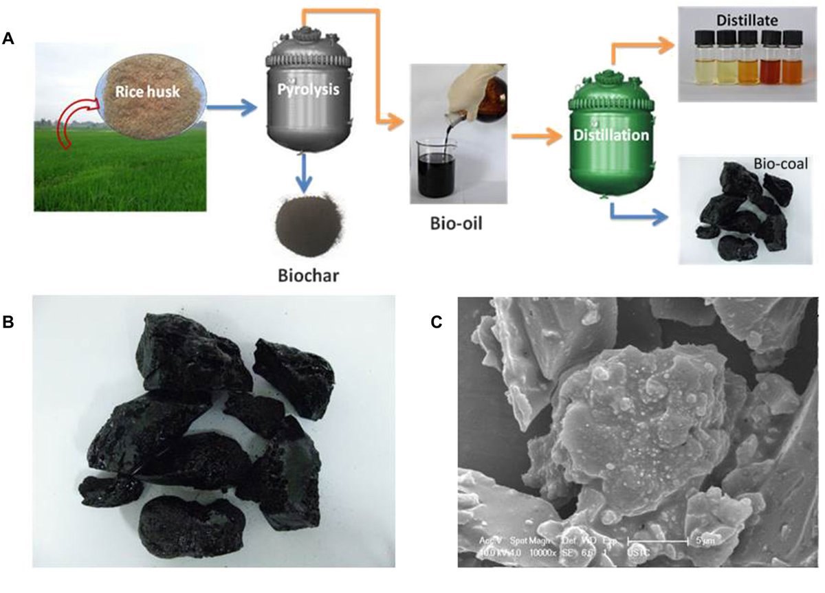 Science Magazine (@sciencemagazine) on Twitter photo Bio-coalāa type of fuel made from plant wasteācould serve as a substitute for grain-based biofuels and ultimately replace coal, according to a new <a href="/ScienceAdvances/">Science Advances</a> study. Read more: fcld.ly/ccbr1zk Bio-coalāa type of fuel made from plant wasteācould serve as a substitute for grain-based biofuels and ultimately replace coal, according to a new <a href="/ScienceAdvances/">Science Advances</a> study. Read more: fcld.ly/ccbr1zk