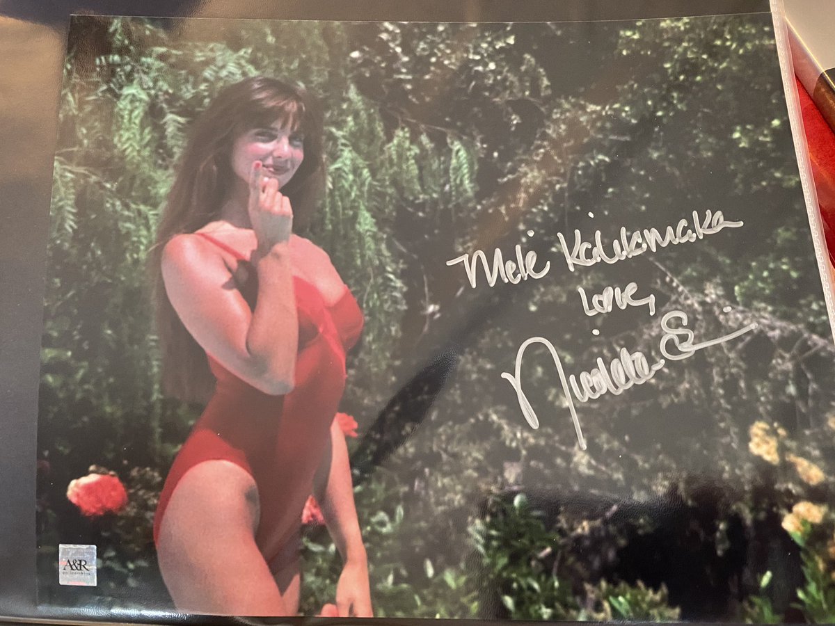 Nicolette scorsese picture