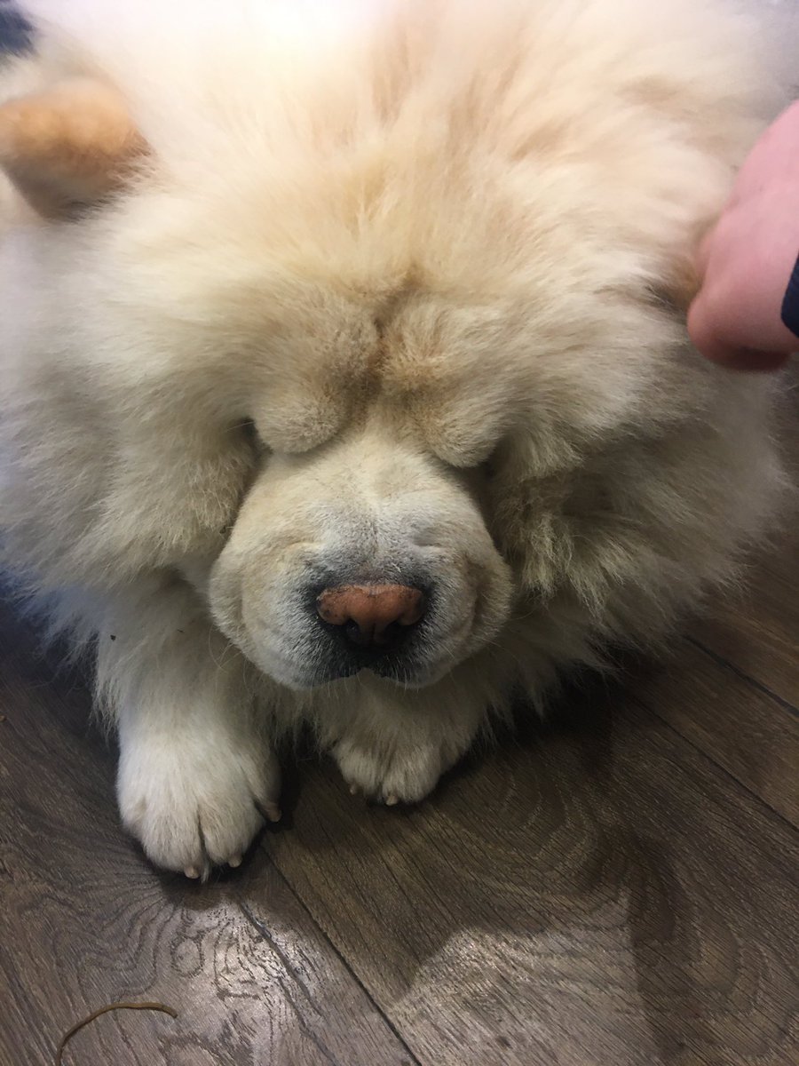 nethangaperera tweet media