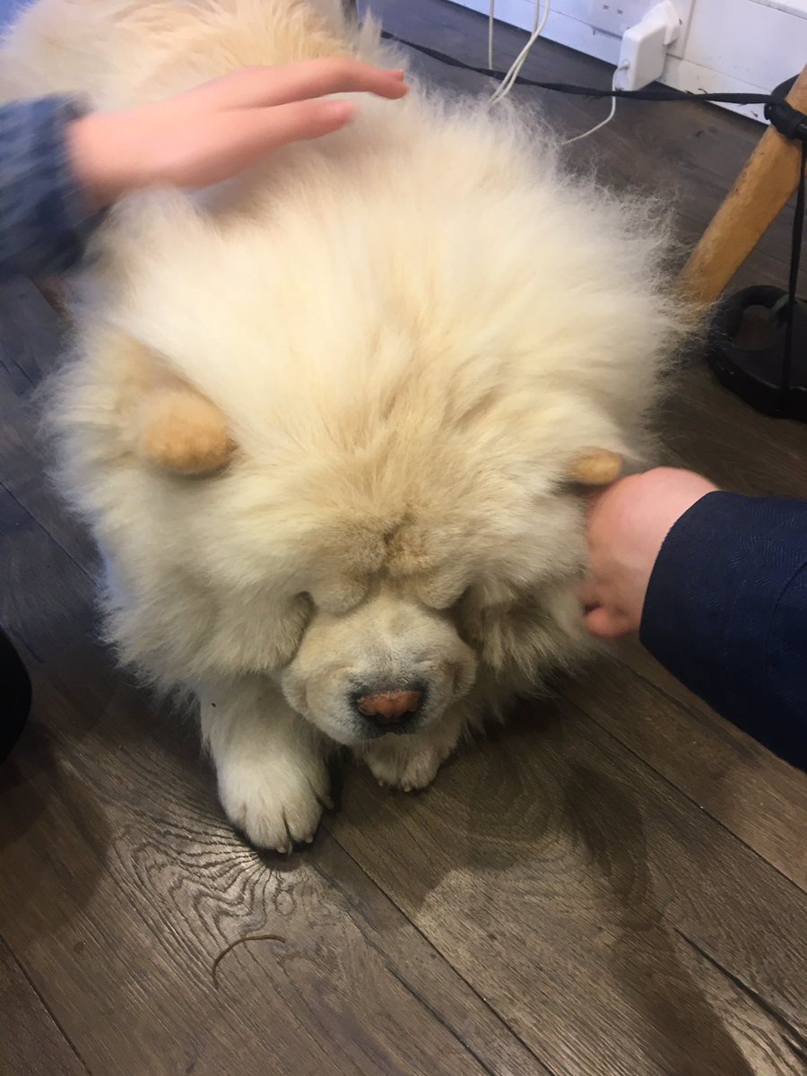 nethangaperera tweet media