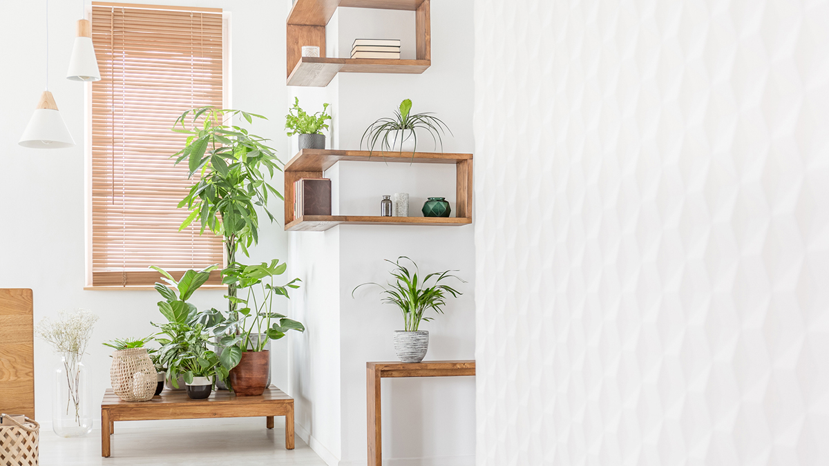 Lumberworld tweet media