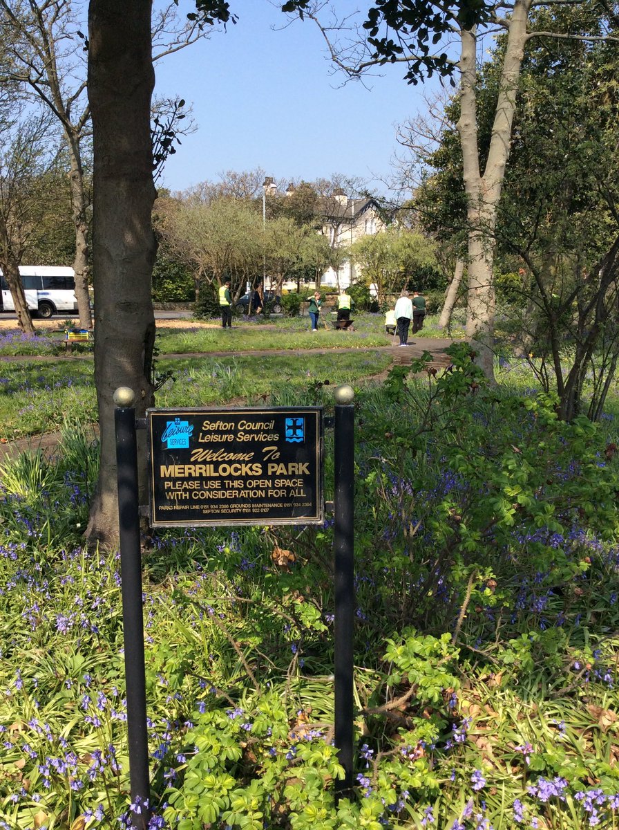 Friends of Merrilocks Park (@merrilockspark) on Twitter photo Help needed! - 4th Big Dig, Wednesday, 29th January, 11 am to 1 pm. Come along and help us clear away the undergrowth and ivy from the ‘V’ shaped end of the Park to prepare for planting. More hands make light work! #community #parks <a href="/GreenSefton_/">Green Sefton</a> Help needed! - 4th Big Dig, Wednesday, 29th January, 11 am to 1 pm. Come along and help us clear away the undergrowth and ivy from the ‘V’ shaped end of the Park to prepare for planting. More hands make light work! #community #parks <a href="/GreenSefton_/">Green Sefton</a>