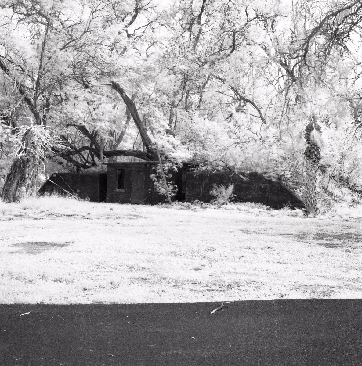 3eyedmonster's tweet photo. Infrared Bunker #lubitel #infrared #rolleiinfrared #believeinfilm #r72filter https://t.co/GiCmH575G9