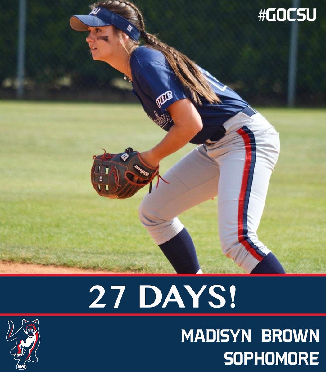 CSUCougarsSB's tweet photo. It’s an election year. 

We hope you vote #COUGS2020

@madbrownnnn approves this message. 

Opening Day in 27 days. https://t.co/UyrDz2pUoR