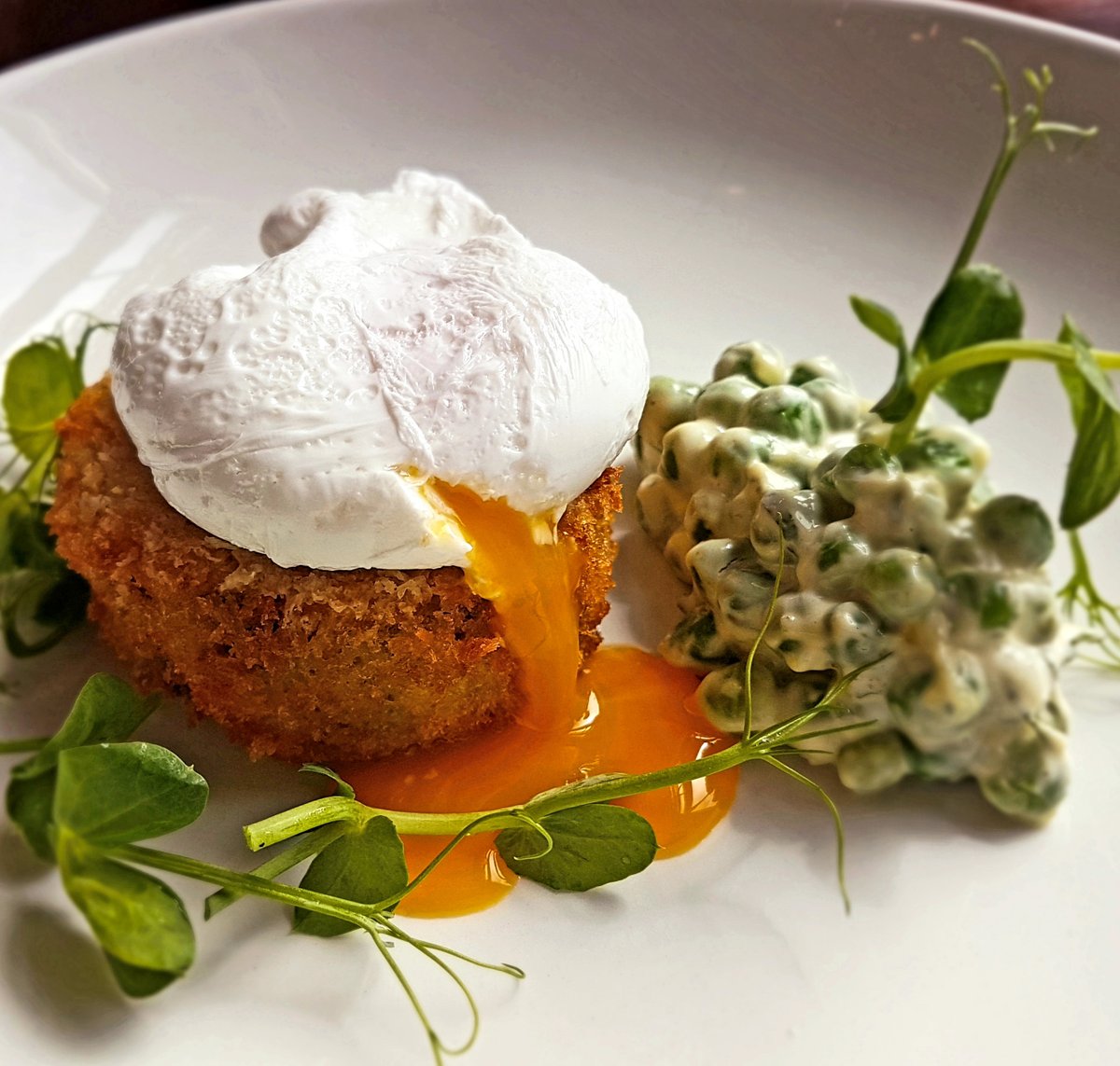 Hands up if poached eggs are your favourite kind of eggs! 🥚 🙋‍♀️ 🙋‍♂️