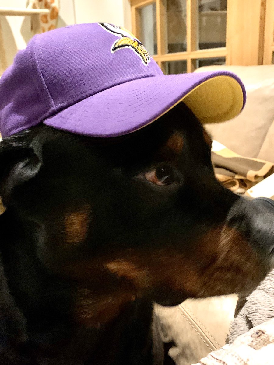 MartinSaenger's tweet photo. #ranNFL @Icke41  Trau dich Drew Breese 😂 #Rottweiler #Vikings #rannflsüchtig https://t.co/pRXgYcLTUZ