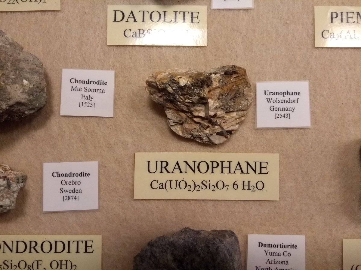 MysteriousDrBex's tweet photo. Because I can't go anywhere without it getting a bit nuclear...I found some #Uranophane in Malta Natural History Museum! 🤓#NuclearGeography #Malta. https://t.co/mSjoRScdEp