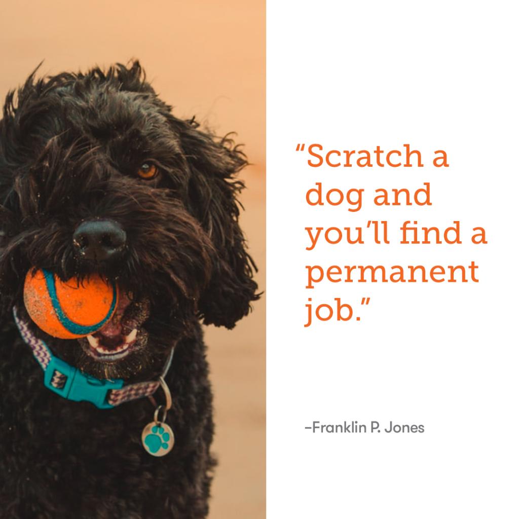 In 2020, we vow to give more belly scratches 🐶 
#BanfieldResolutions
#DogsOfBanfield
#banfieldhere
#QuotesOfBanfield
#bdog
#bloving
#bhere