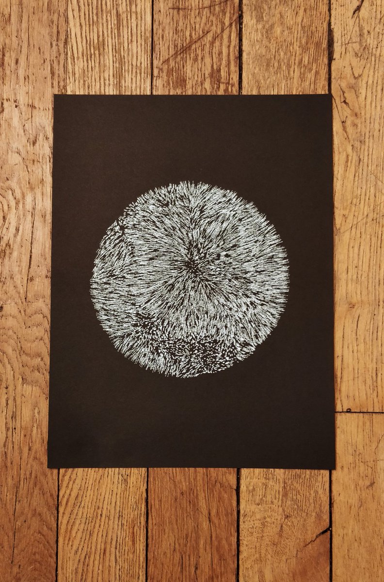 Julien_Espagnon's tweet photo. Hair ball ✍️🤖
#plottertwitter https://t.co/OXc4ZZj9il