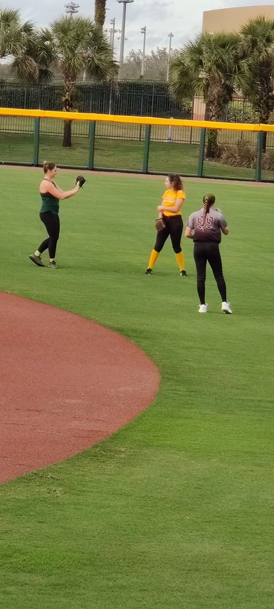 Usf Softball Camps Usfsoftballcamp Twitter