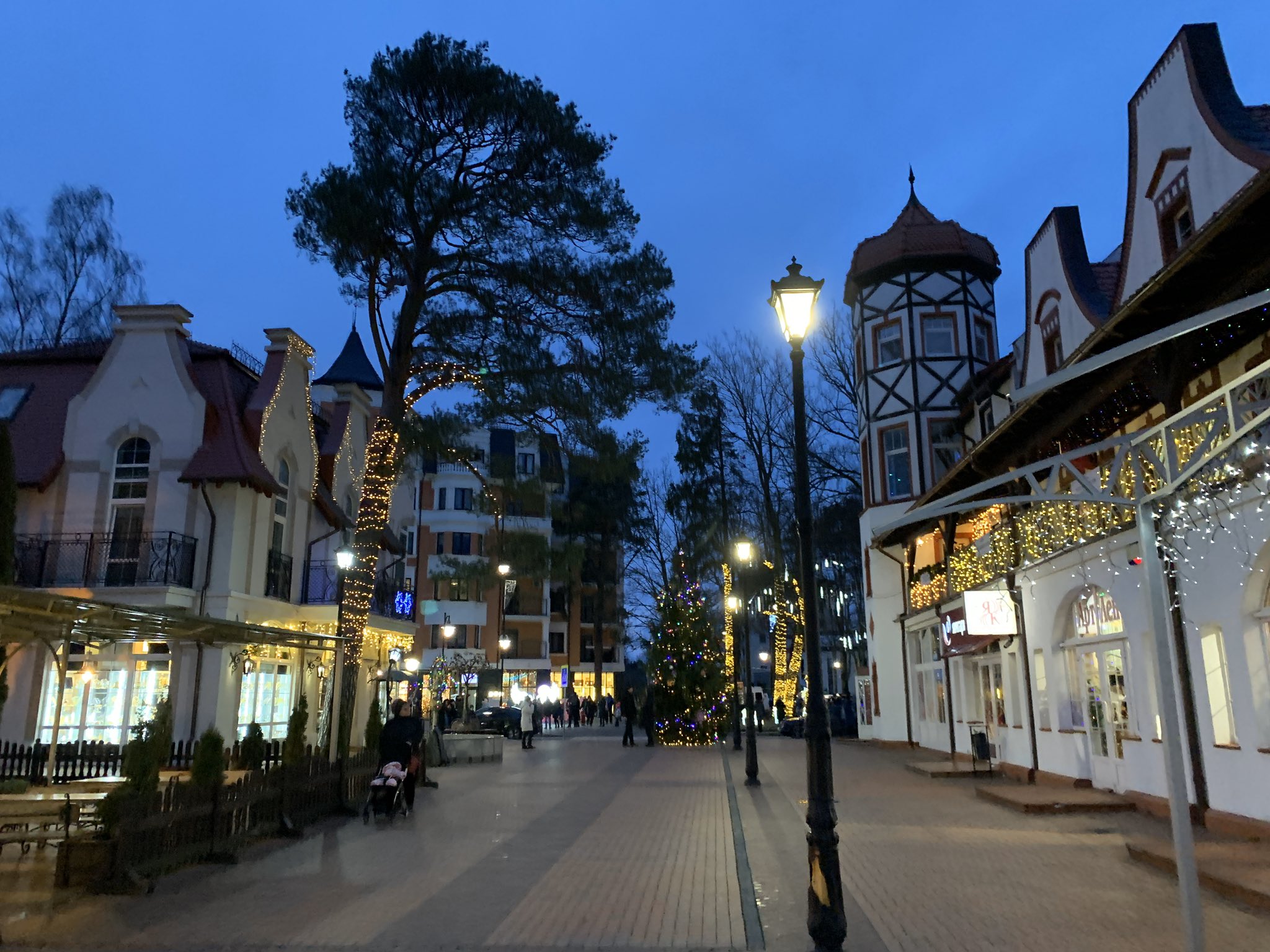 Светлогорск