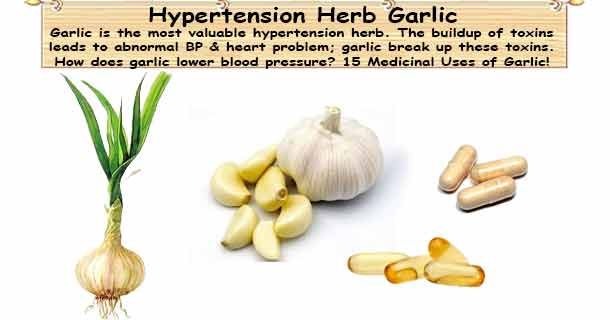 healthyojas's tweet photo. Hypertension Herb Garlic https://t.co/toyeiWnddm #Hypertension #BloodPressure #Herb #Garlic https://t.co/kGz1TxMcQW