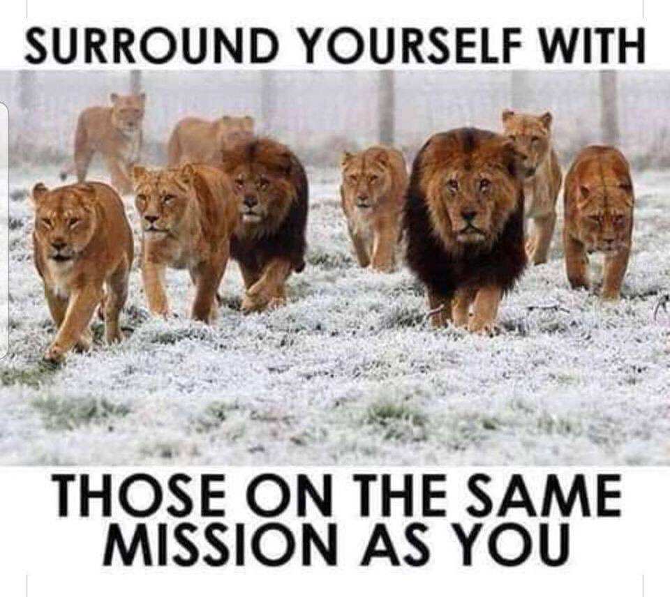 markpfaff's tweet image. 