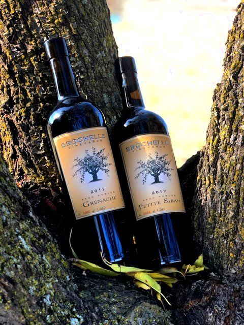 BrochelleWinery's tweet photo. A couple of our most limited wines sitting in a tree, today we are P-O-U-R-I-N-G π·
-
85 cases made of these beauties! It's Sunday - come spend it in our cozy tasting lounge and try these delicious fan favorites!π·π
#Brochellicious #29PasoWine #SundayWineDown #PasoGrenache https://t.co/MLHvMz4EmC