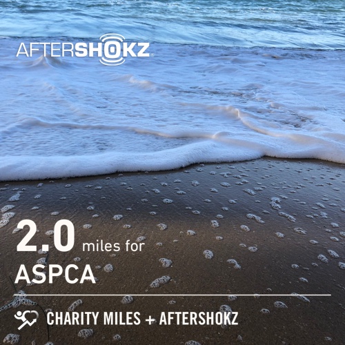 2.0 @CharityMiles for  @TeamASPCA. Thx @Aftershokz #ShokzMiles #FiftyFans @fiftys_fitties #MilesForTheMister #2020HealthierMe