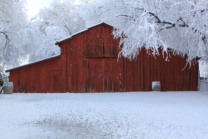 GCVineyards's tweet photo. Winter at the Winery https://t.co/hGv00rfDUj https://t.co/eL58k3smEv