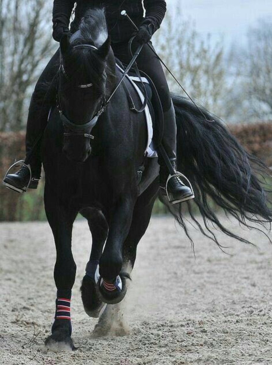 نكتب ويبقى المفقود، هو المقصود ...!