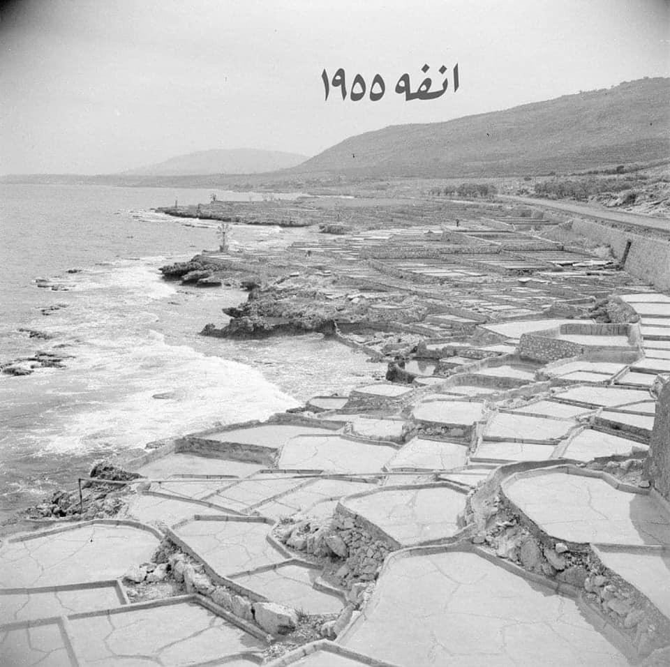 LGeographic's tweet photo. من تاريخ لبنان... https://t.co/sBjOtb1OXf
