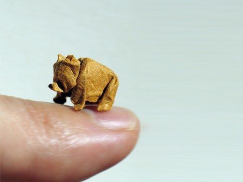 PFFOrigami's tweet image. Look at what I found. Isn't it amazing what can be done with just a single piece of paper.