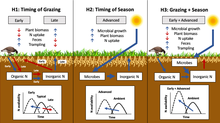 Ryan Choi (@ryantchoi) on Twitter photo Dissertation #climatechange chapter two is available online at <a href="/EcosystemsJ/">Ecosystems Journal</a>
TL;DR
1) Combined early goose arrival and season advancement lead to greater soil N
2) Early goose arrival had a greater influence on soil N than an advanced growing season
link.springer.com/article/10.100β¦ Dissertation #climatechange chapter two is available online at <a href="/EcosystemsJ/">Ecosystems Journal</a>
TL;DR
1) Combined early goose arrival and season advancement lead to greater soil N
2) Early goose arrival had a greater influence on soil N than an advanced growing season
link.springer.com/article/10.100β¦