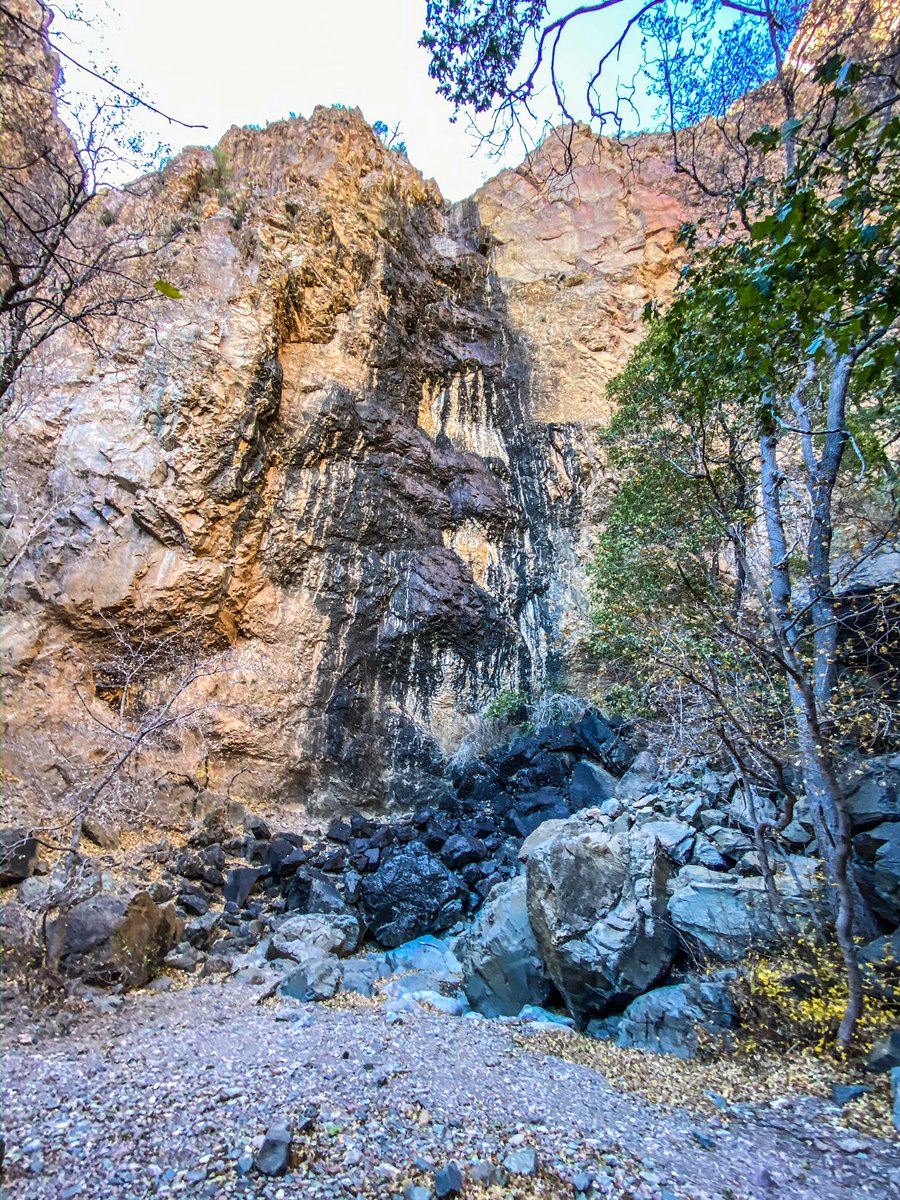 bigbendguide's tweet photo. Approaching the end of the Pine Canyon Trail where the falls will flow after a rain. I never seen the falls but I always see a 🐻 Follow the trail where desert meets alpine.
#bigbendnationalpark #bigbend #bigbendnps #hiking #hikingtexas #texas #pinecanyon @BigBendNPS https://t.co/g5iJxyfoCg
