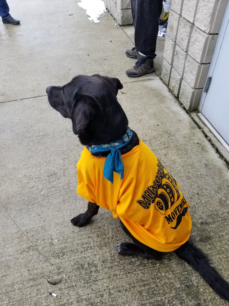 Drives welcome fans of all kinds...as long as they pay their $8!