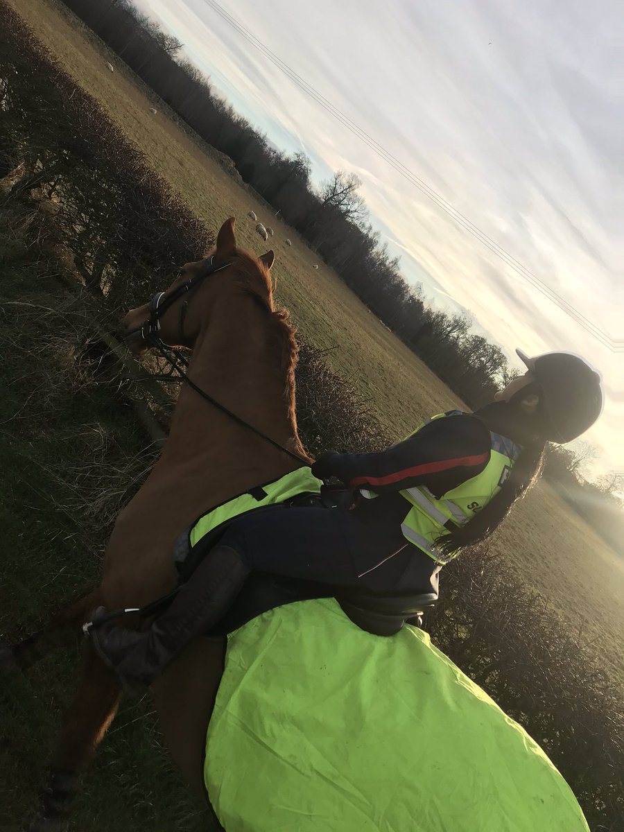 KatysummersOT's tweet photo. Lovely long hack out in Midlothian today , Drivers regonising our slow down signal when approaching us on our horses making our ride more enjoyable and safe #OpLoseTheBlinkers #Hivisability #countryside @polscotrpu @ChSuptRoads @polscothorses https://t.co/75BMCxhrZL