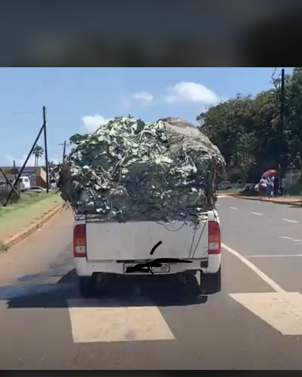 NDROVA's tweet image. Muntu sazoke alidle ngenkani