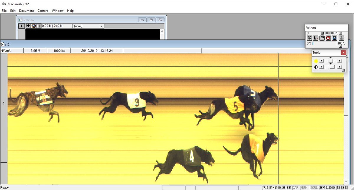 GBGBStaff's tweet photo. And the winner of the #PhotoFinishChallenge for Week 7 goes to this effort from @Kinsley_Dogs with a DH for 1st place! @NewcastleDogs @SunderlandDogs @BelleVuedogs @perrybarrdogs @HoveGreyhounds @OwlertonRacing @pborogreyhounds @yarmouthstadium Week 8 to be decided tomorrow! https://t.co/yE9g8kizBV
