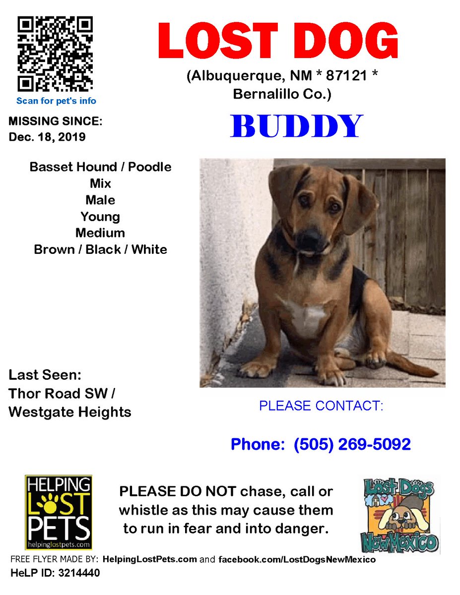 🛑🛑 #LOSTDOG #Buddy #Albuquerque (Thor Road SW / Westgate Heights) #NM 87121 #Bernalillo Co. , #Lost #Dog 12-18-2019!, Medium / Young / Male / #BassetHound / #Poodle Mix / Brown / Black / White facebook.com/LostDogsNewMex…