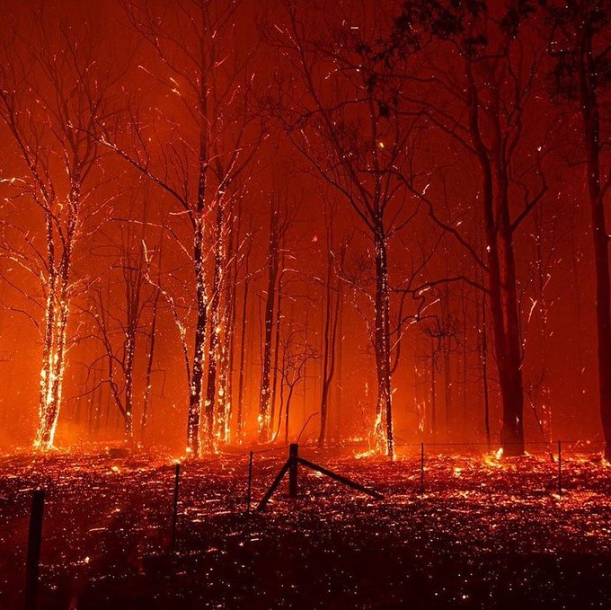 ECOWARRIORSS's tweet photo. Global fossil fuel subsidies reach $5.2 trillion
Australia gives $29 billion in fossil fuels subsides - money that goes towards increasing emissions that drives global warming has turned Australia into a furnace - #ClimateEmergency https://t.co/YpNUU2yT2t https://t.co/hya4mREuED