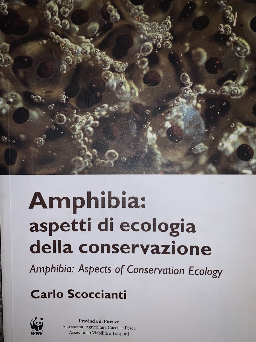 TLAmphib's tweet photo. Interested in European herps? Go bid on three books donated to the #WCH9 book auction that were the late Ray Semlitsch’s personal copies #semlitschlab https://t.co/1CE31bCf39