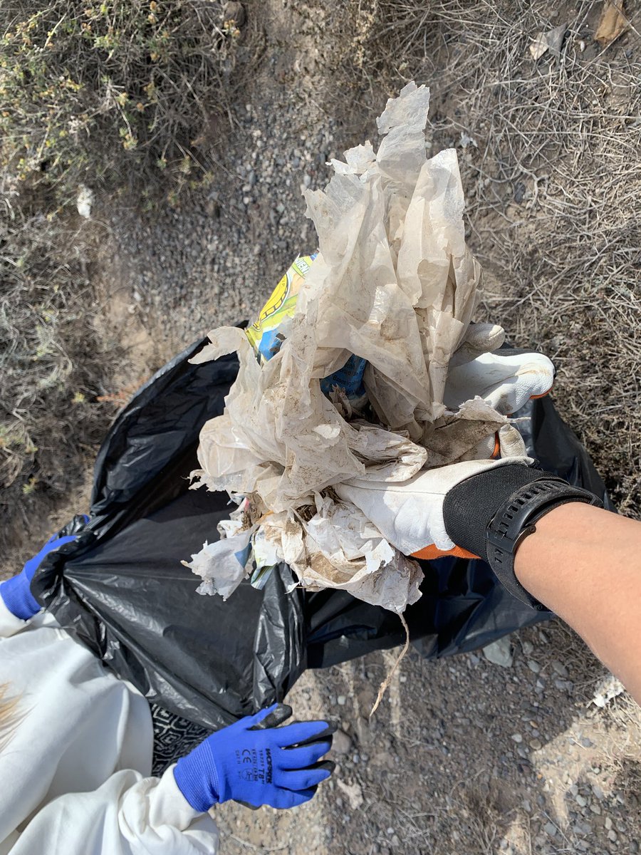 morenotwins tweet media