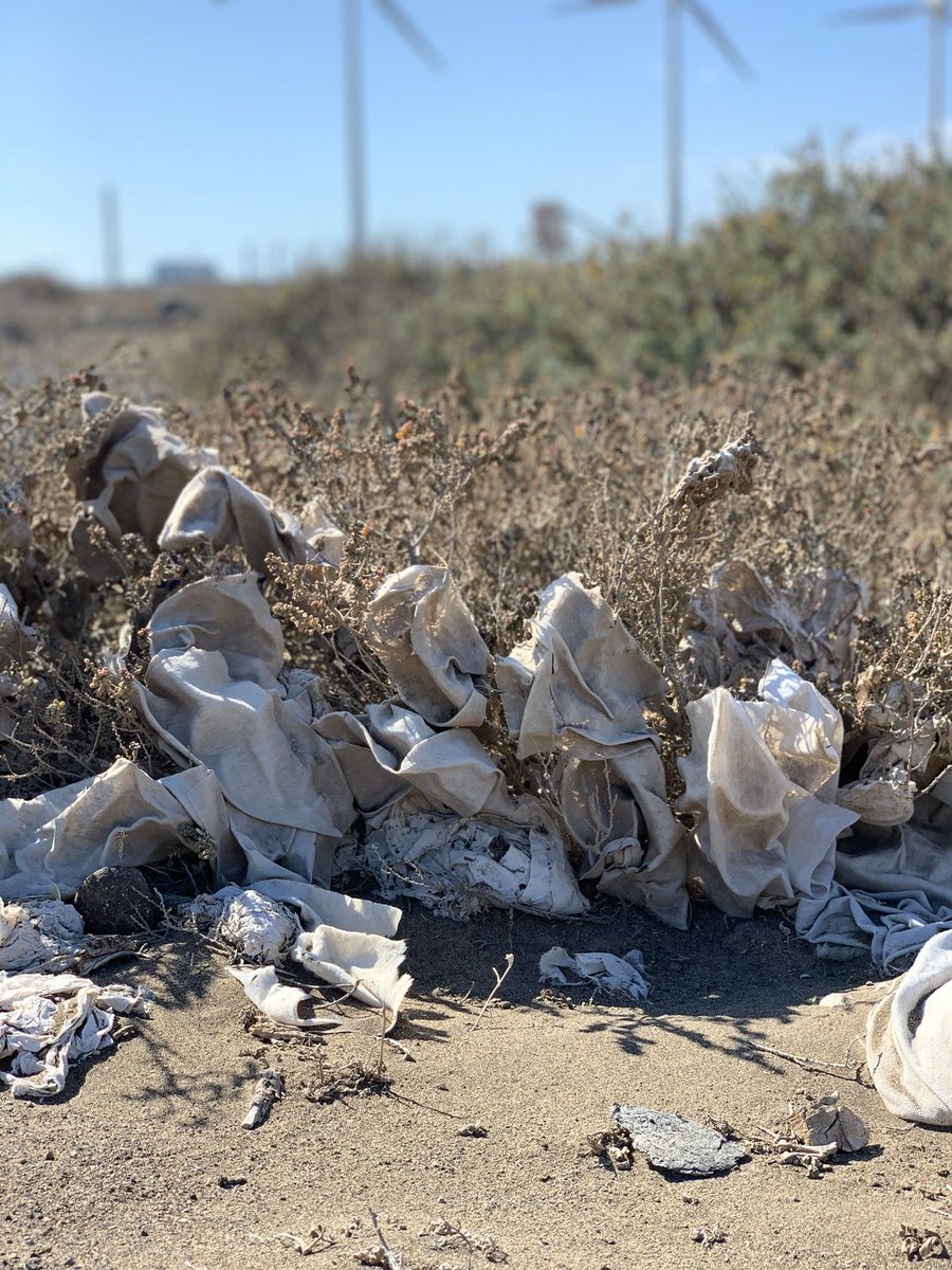 Querido Melchor. 👑 nos gustaría pedir más concienciación ambiental , salud y buenas olas. Pd: las toallitas no son biodegradables