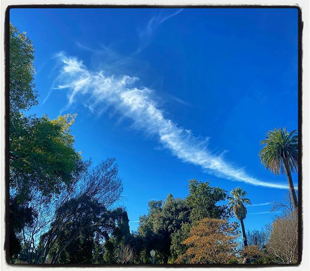 CloudAppSoc's tweet photo. RT @abstractia: Cloud Centipede #mv_cloud .
.
.
.
#Cloudscape #cloudstagram #cloudsporn #cloudshapes @cloudappsoc https://t.co/SfIeI0Wir7 https://t.co/sGFgHGv3hc