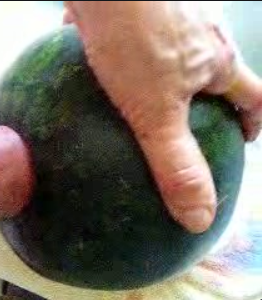 Or perhaps your watermelon becomes his instead?...Succulent Watermelon Puss...