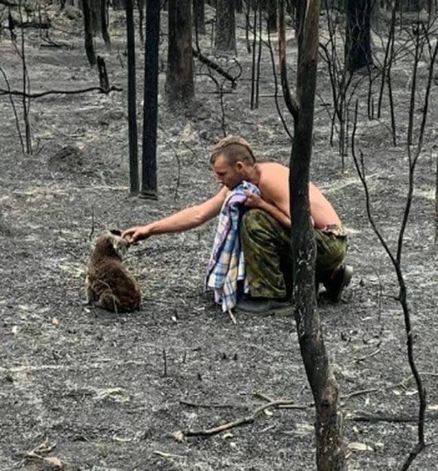 a_good_man_bo's tweet photo. This is Patrick Boyle. Since the fire has passed through Mallacoota this amazing, selfless young guy has been out searching for injured wildlife. This is one of 7 #koalas he's saved so far. The world needs more Patrick's. #AustraliaOnFire https://t.co/a2XjJKw90f
